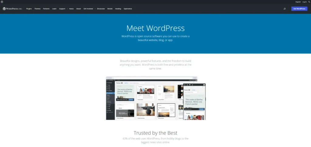 ตัวอย่างเว็บไซต์ ออกแบบเว็บไซต์ สวยๆ Wordpress